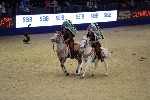 Quadrille - 00356